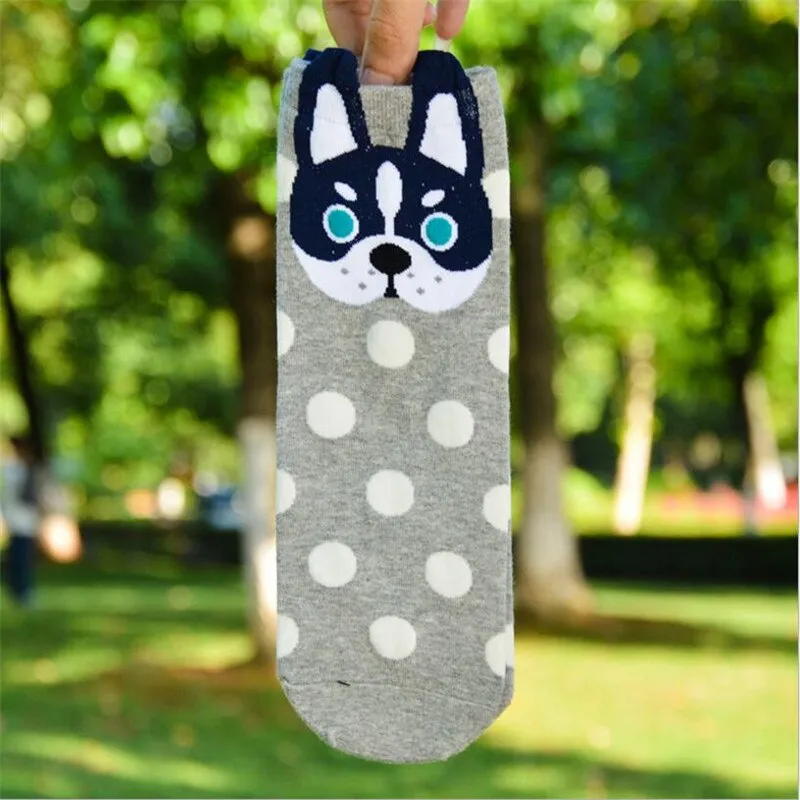 5 Pairs Pack Cotton Dog Cartoon Design Short Socks For Women
